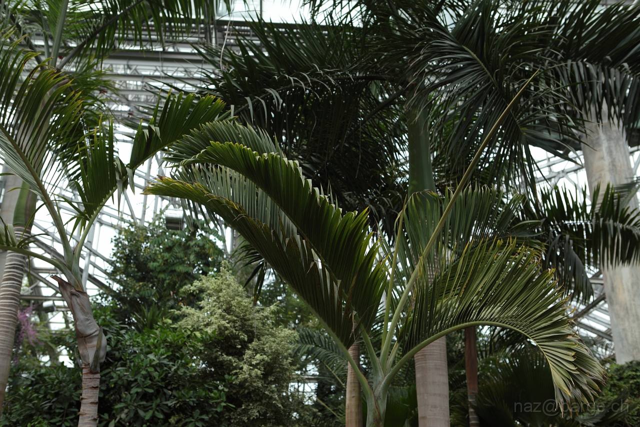 EOS 5D Mark II16_04_20135000.JPG